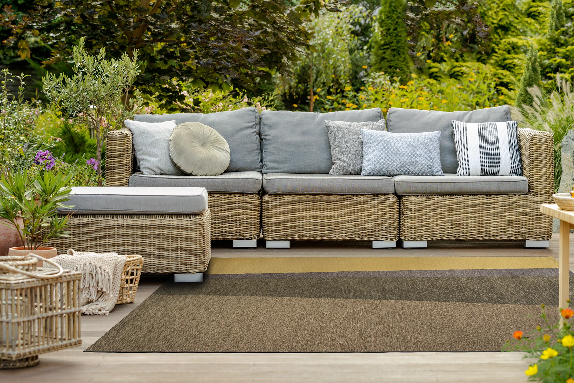 Acsento Capri Gold Olive - Image 2