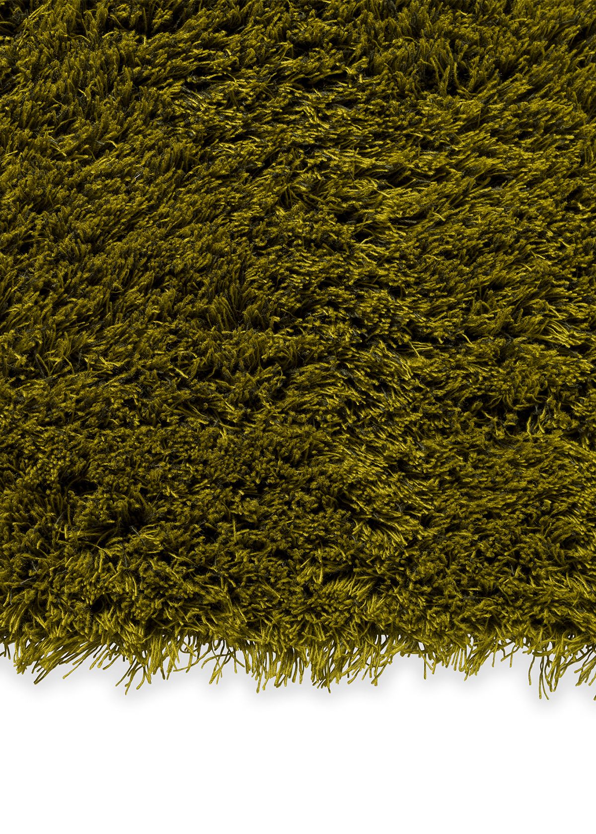 Brink & Campman Shade High Olive Deep Forest 011907 - Image 2
