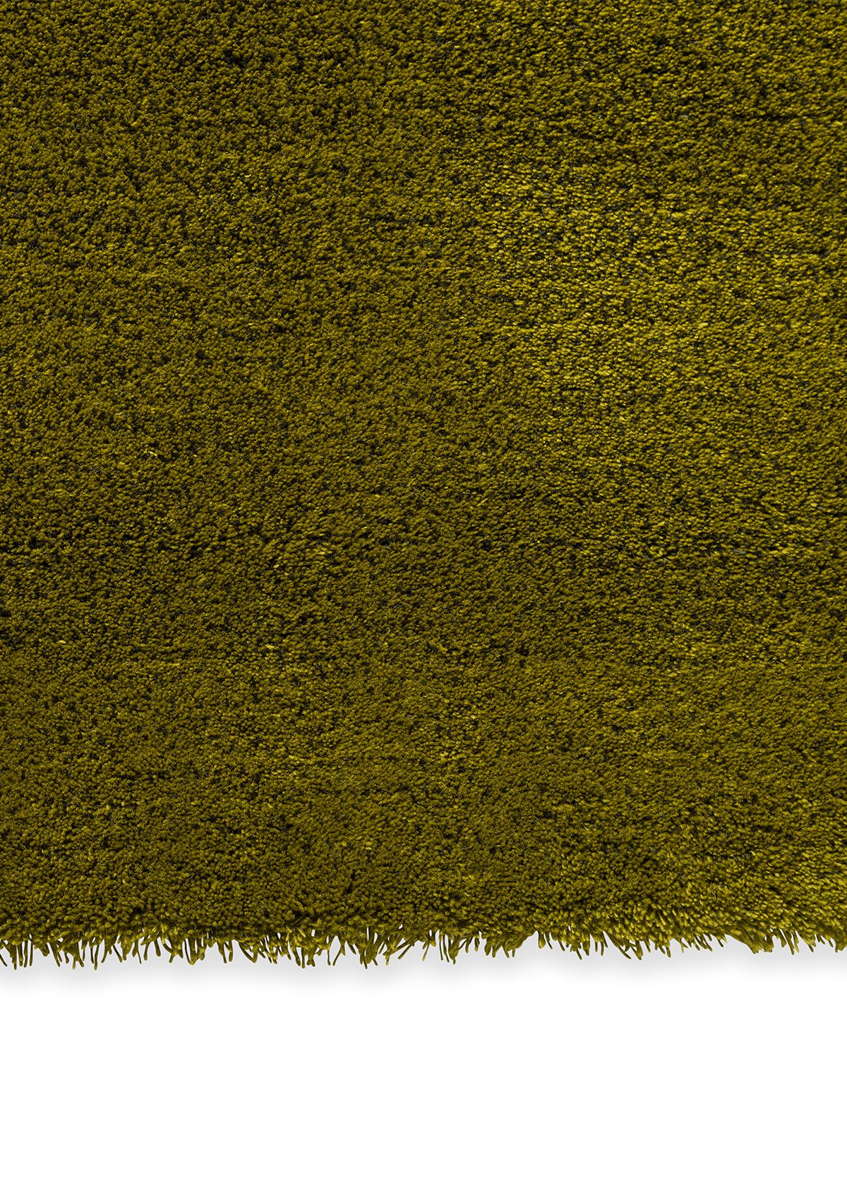 Brink & Campman Shade Low Olive Deep Forest 010107 - Image 3