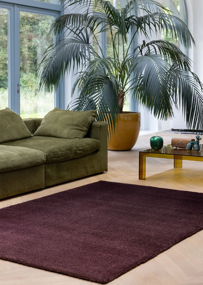 Brink & Campman Shade Low Plum Fig 010100 - Image 2