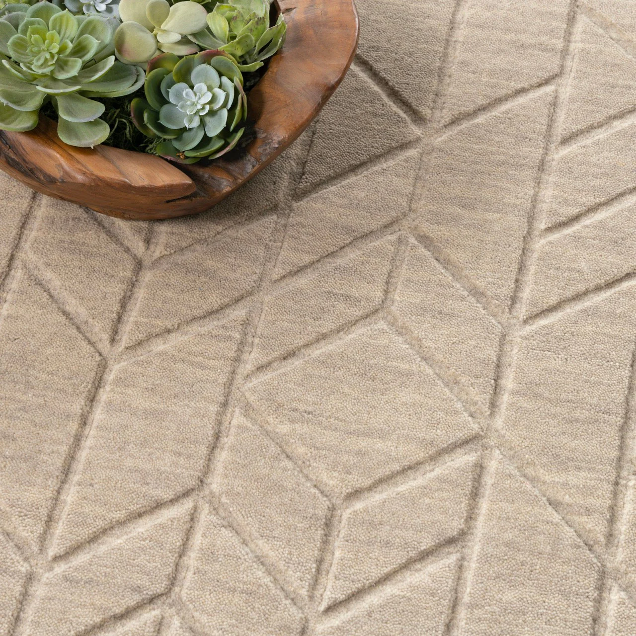 Nourison Alessia Beige ALE01 - Image 5